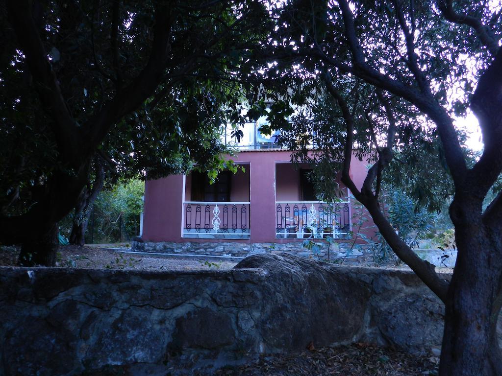 Kyra'S Paradise Potisztiká Szoba fotó